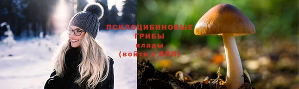 МДПВ Верхний Тагил