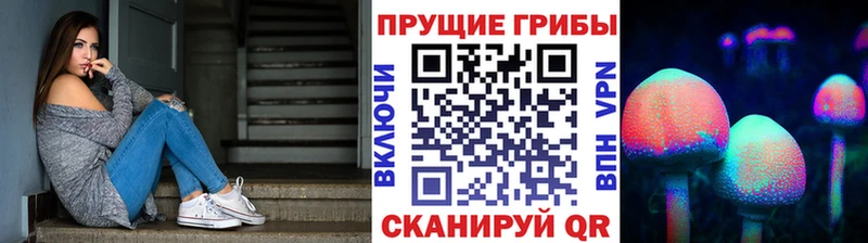 Галлюциногенные грибы Magic Shrooms  Гусиноозёрск 