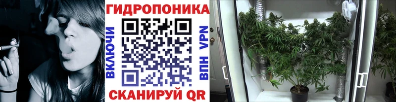 Шишки марихуана AK-47  blacksprut сайт  Гусиноозёрск 
